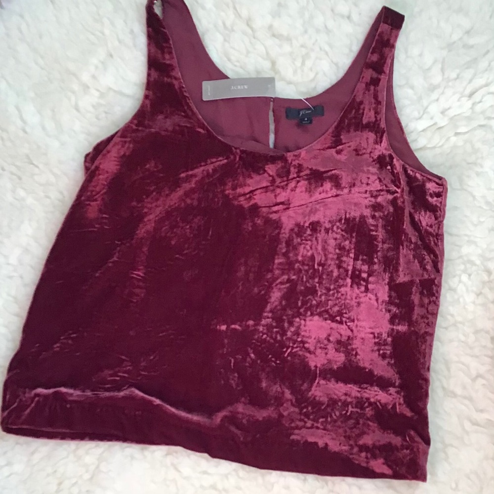 J.Crew velvet top